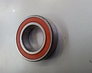 Ball bearing d30 d55 6006-2Nse - Dispenser liquid feed